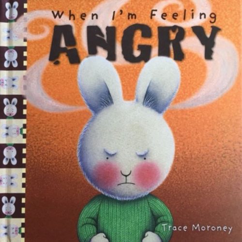 When I am Feeling Angry Book