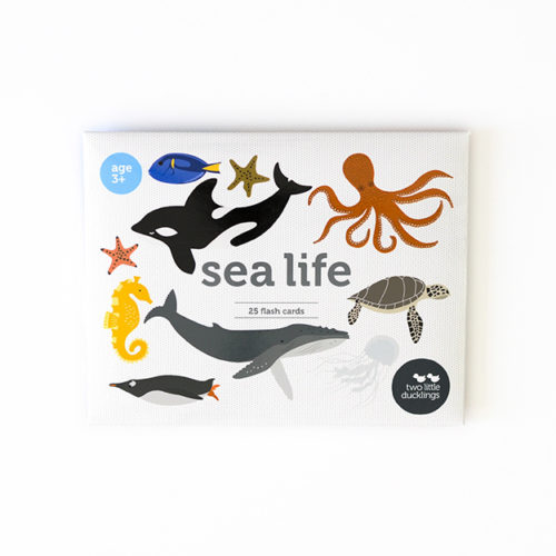 Sealife Flash Cards